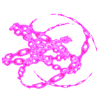 Trật Tự Thần Liên